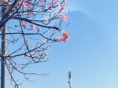 -福州海峡文化艺术中心