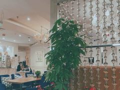 -花舍·新派粤菜·西餐·下午茶(亚运村·鸟巢店)