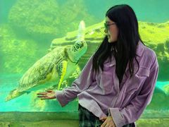 -广东惠东海龟国家级自然保护区