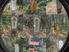 -火炉山森林公园