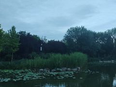 -古塔公园