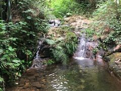-羚羊峡古栈道森林公园