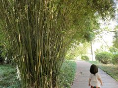 -昆山城市生态森林公园