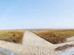 -南汇嘴观海公园