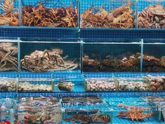 水产区-江杨农产品批发市场