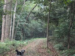 -黄公望隐居地
