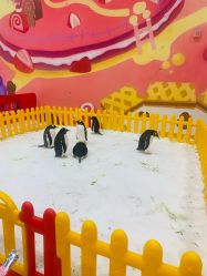 -第五极儿童乐园