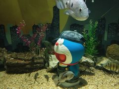 -重庆欢乐海底世界
