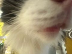 -平行世界·猫咖(首经贸店)
