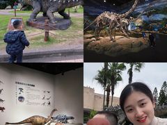 -自贡恐龙博物馆