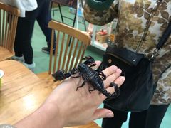 -藦茜花园宠物主题亲子互动体验馆(国顺东路店)