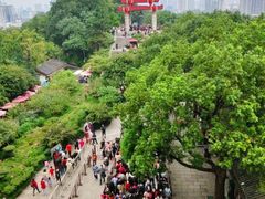 -黄鹤楼公园(黄鹤楼)