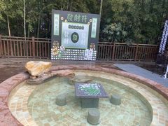 -天目湖涵田半山温泉