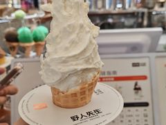 -野人先生Gelato(上海长宁龙之梦店)