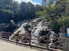 -海南霸王岭国家森林公园