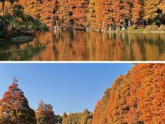 -中国科学院华南植物园