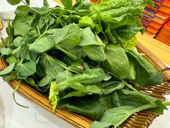 -吴天家私坊铜火锅(远达·帝景华廷店)