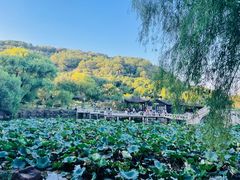 -灵岩山风景区