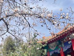 -碑林公园