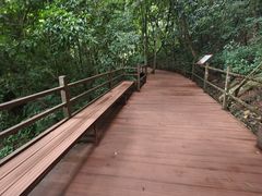 -中国科学院西双版纳热带植物园