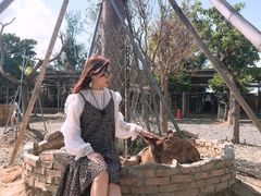 -鹿境梅花鹿生态园区