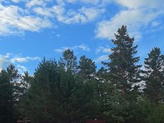 -北极村旅游风景区