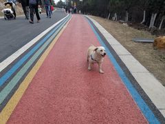 -南京市无想山景区