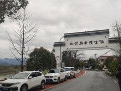 -临江宴餐厅·桐庐菜(富春江店)