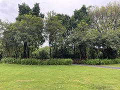 -莲花山公园