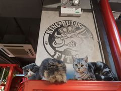-KingBull私教健身&格斗订制(龙井商业中心店)