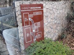 -江南天池