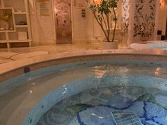 -麓湖国际水疗