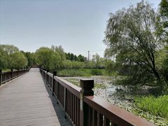 -苏州太湖国家湿地公园
