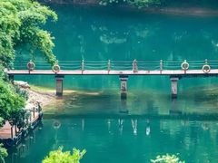 -鼎湖山风景区