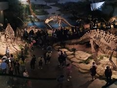 -自贡恐龙博物馆