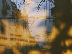 -村口大树(长乐路店)