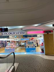 -cocokarafine可开嘉来