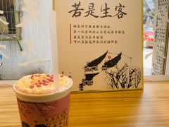 踏雪寻莓-一杯潮茶·专注潮汕茶饮(十二中创始店)