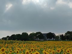 -苏州湾体育公园