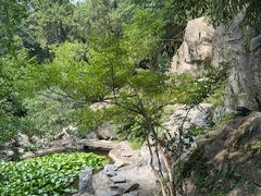 -云龙山