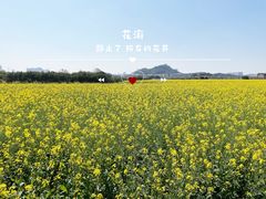 -光明小镇欢乐田园