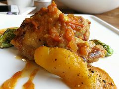 -百好乐宠物友好餐厅(朝外大街店)