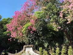 -乌山风景区