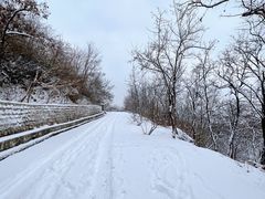 -阳台山自然风景区