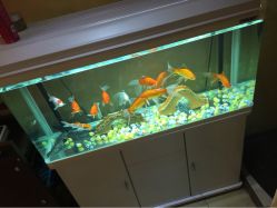 JS发型会所-构想时尚发型会所