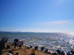 -呈贡滇池生态湿地公园