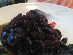 泡椒海木耳-骏莱海鲜鱼港(五角场店)
