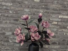 -大张烙馍村(三环南路旗舰店)