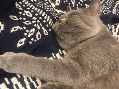 -平行世界·猫咖(首经贸店)