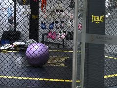 -FLARE STAR FITNESS(复地活力城店)